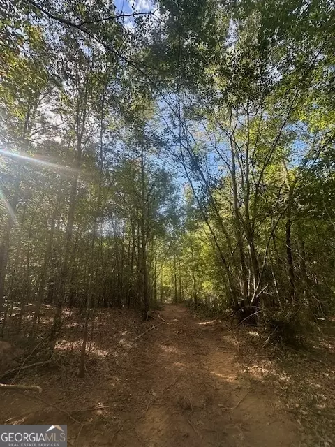 882 Mcwhorter Rd, Stephens, GA 30667 photo 5