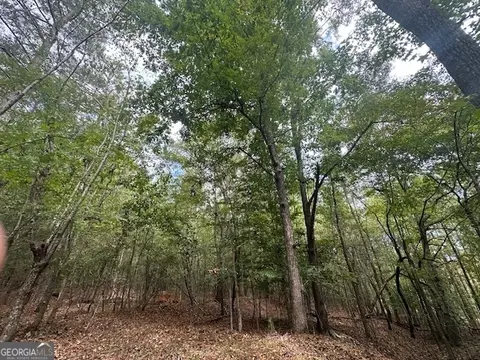 882 Mcwhorter Rd, Stephens, GA 30667 photo 16