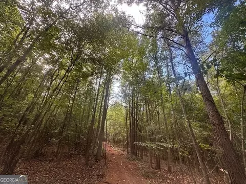 882 Mcwhorter Rd, Stephens, GA 30667 photo 21