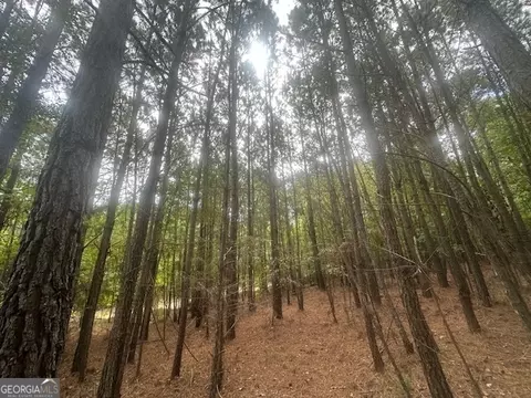 882 Mcwhorter Rd, Stephens, GA 30667 photo 18