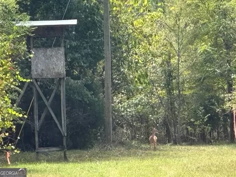 882 Mcwhorter Rd, Stephens, GA 30667 photo 50
