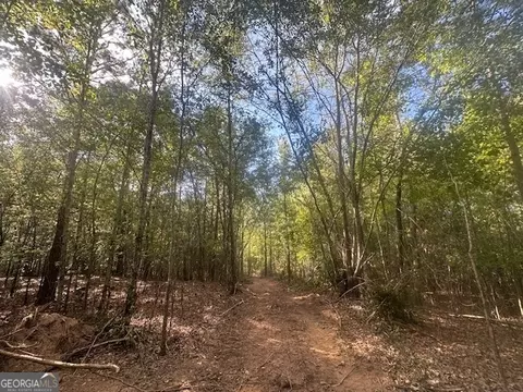 882 Mcwhorter Rd, Stephens, GA 30667 photo 4
