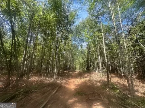 882 Mcwhorter Rd, Stephens, GA 30667 photo 47