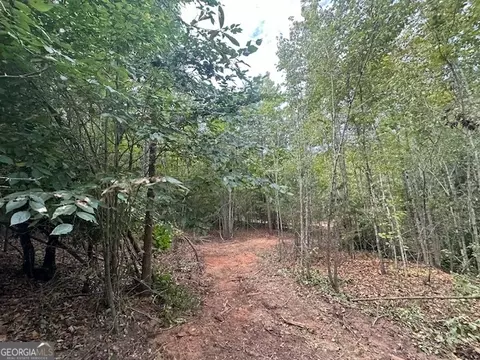 882 Mcwhorter Rd, Stephens, GA 30667 photo 13