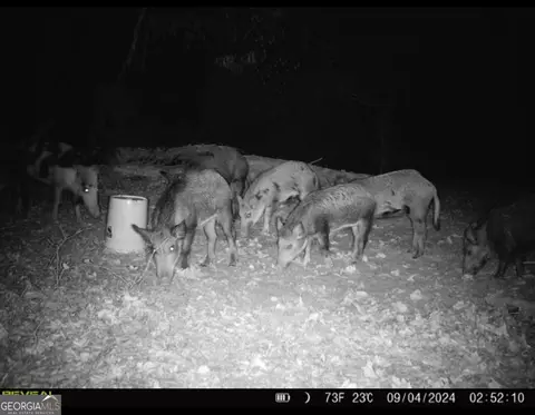 882 Mcwhorter Rd, Stephens, GA 30667 photo 8