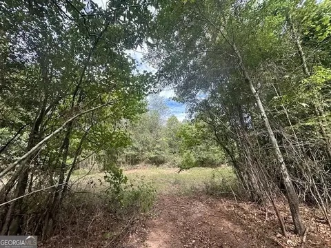 882 Mcwhorter Rd, Stephens, GA 30667 photo 37