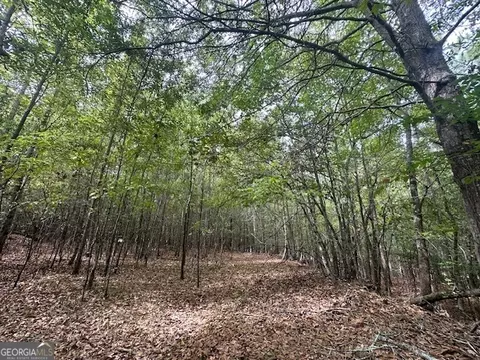 882 Mcwhorter Rd, Stephens, GA 30667 photo 42