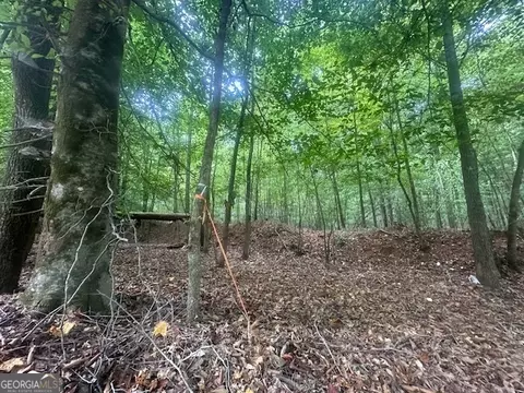 882 Mcwhorter Rd, Stephens, GA 30667 photo 19