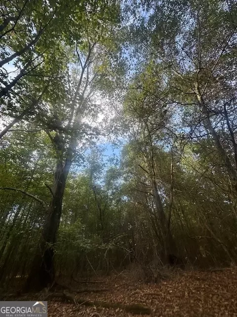 882 Mcwhorter Rd, Stephens, GA 30667 photo 27