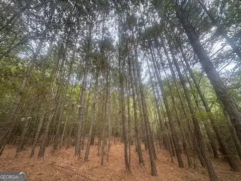 882 Mcwhorter Rd, Stephens, GA 30667 photo 17