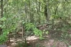 3206 E Fairview Rd, Stockbridge, GA 30281 photo 5