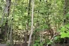 3206 E Fairview Rd, Stockbridge, GA 30281 photo 8