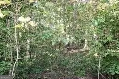 3206 E Fairview Rd, Stockbridge, GA 30281 photo 7