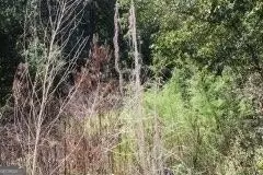 3206 E Fairview Rd, Stockbridge, GA 30281 photo 9
