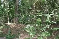 3206 E Fairview Rd, Stockbridge, GA 30281 photo 6