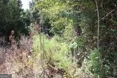 3206 E Fairview Rd, Stockbridge, GA 30281 photo 3