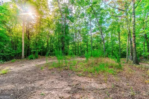 1 77 Mount Carmel Trl, Morganton, GA 30560