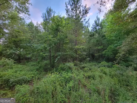 3554 B B Ln, Millen, GA 30442 photo 4