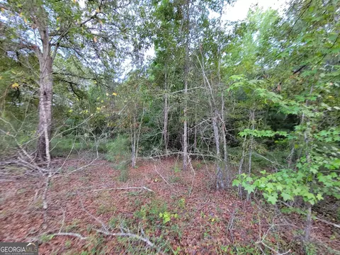 3554 B B Ln, Millen, GA 30442
