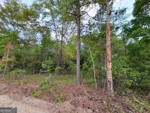 3554 B B Ln, Millen, GA 30442 photo 6