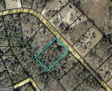3554 B B Ln, Millen, GA 30442 photo 9