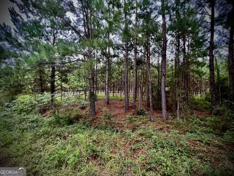 1175 Hall Rd, Dublin, GA 31021 photo 4