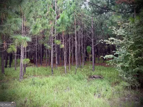1175 Hall Rd, Dublin, GA 31021 photo 14