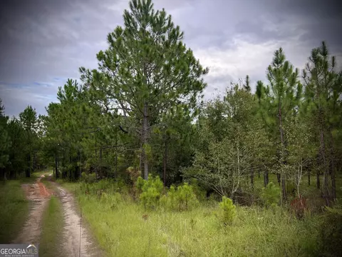 1175 Hall Rd, Dublin, GA 31021 photo 3