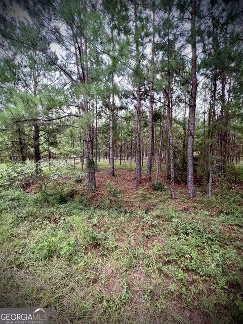 1175 Hall Rd, Dublin, GA 31021 photo 5
