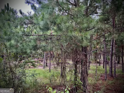 1175 Hall Rd, Dublin, GA 31021 photo 7