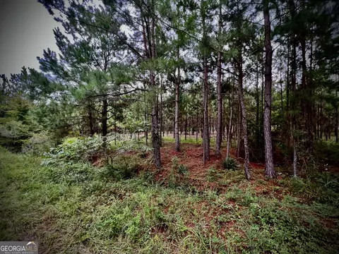 1175 Hall Rd, Dublin, GA 31021 photo 6