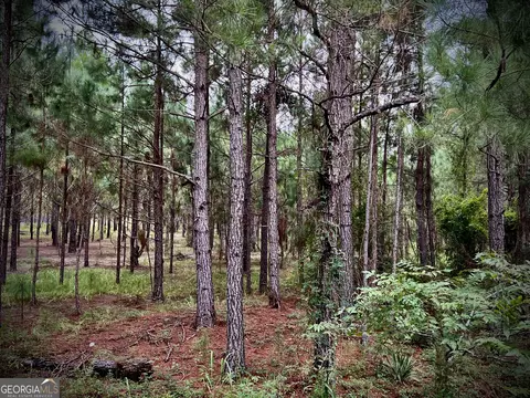 1175 Hall Rd, Dublin, GA 31021 photo 8