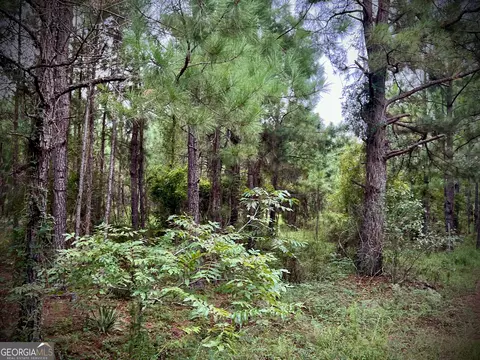 1175 Hall Rd, Dublin, GA 31021 photo 9
