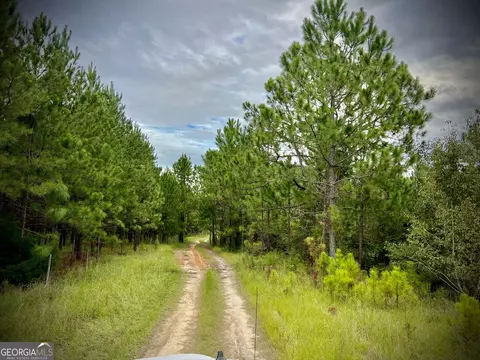 1175 Hall Rd, Dublin, GA 31021 photo 2