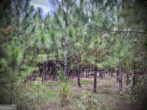 1175 Hall Rd, Dublin, GA 31021 photo 13