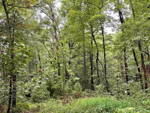 lot4 B Briarwood Ln #4B, Clayton, GA 30525