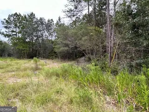 6541 Ga Hwy 147, Reidsville, GA 30453