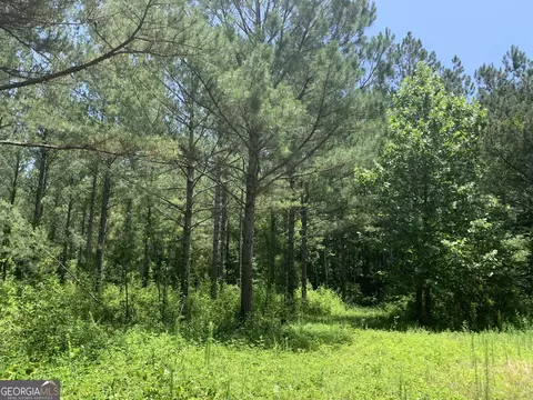 43 85 Ac Victory Rd, Franklin, GA 30217 photo 4