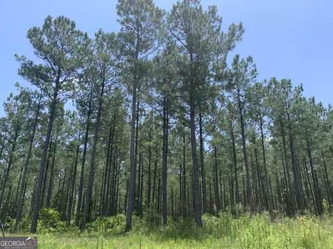 43 85 Ac Victory Rd, Franklin, GA 30217 photo 3