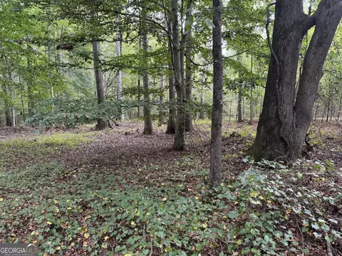 0 Maley Rd, Jefferson, GA 30549 photo 8