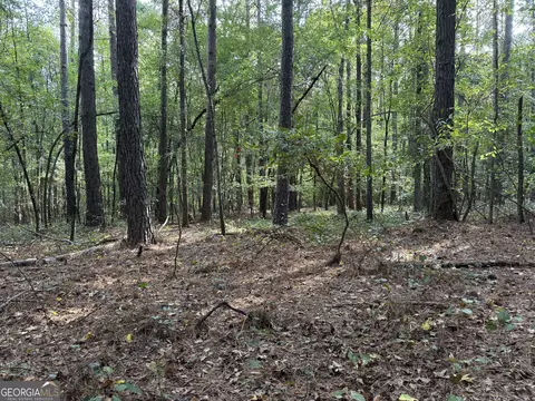 0 Maley Rd, Jefferson, GA 30549 photo 38