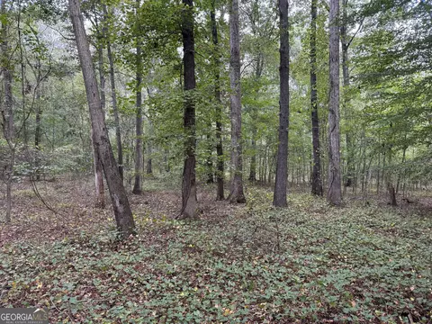 0 Maley Rd, Jefferson, GA 30549 photo 7