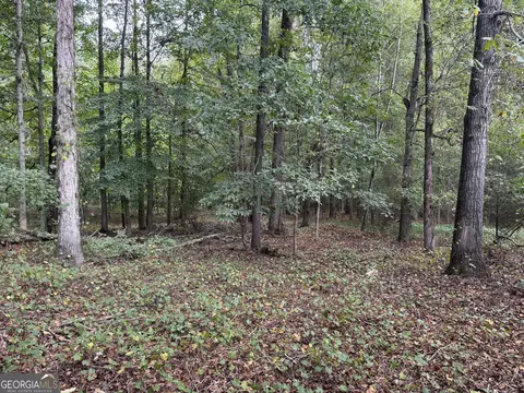 0 Maley Rd, Jefferson, GA 30549 photo 6
