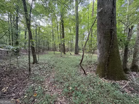 0 Maley Rd, Jefferson, GA 30549 photo 33