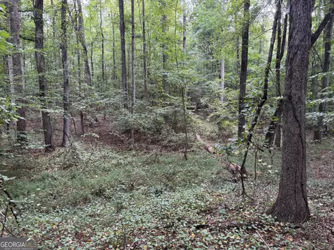 0 Maley Rd, Jefferson, GA 30549 photo 25