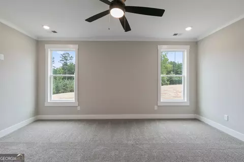 81 Conner Ln, Williamson, GA 30292 photo 20