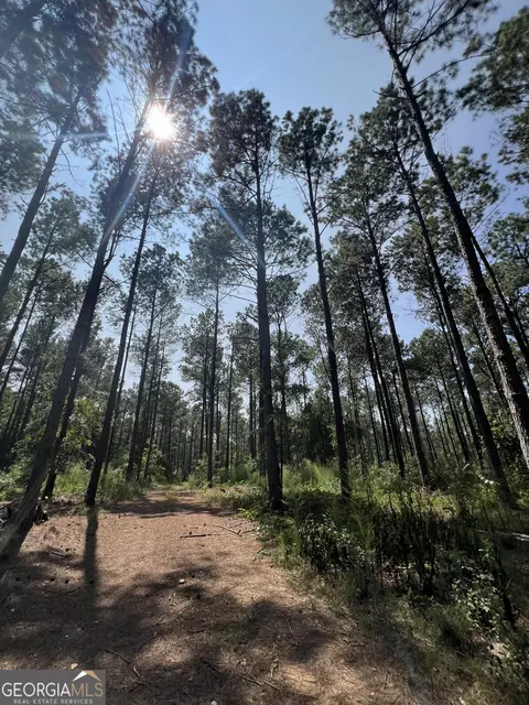 3500 Parks Mill Rd, Buckhead, GA 30625