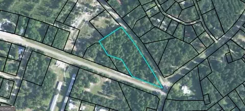 0 Shellman Bluff Rd, Townsend, GA 31331
