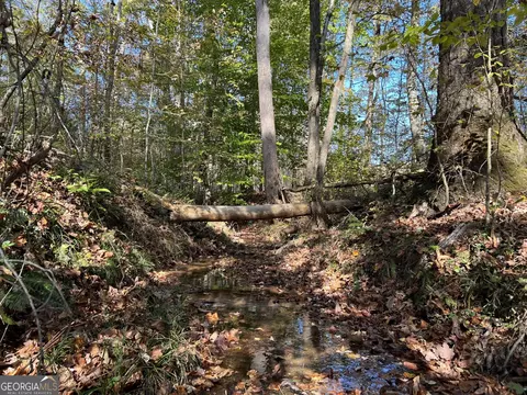 Tract 3 North Ruckersville Road, Elberton, GA 30635