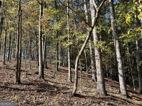 Tract 1 North Ruckersville Road, Elberton, GA 30635